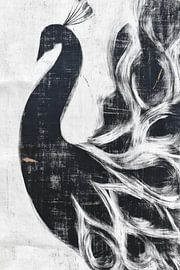 Peacock Silhouette by Chromatic Storm Studio