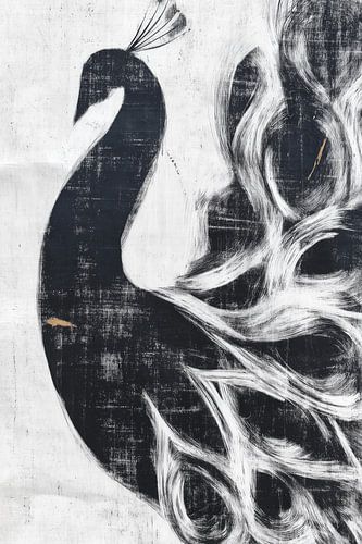Peacock Silhouette