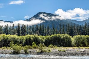 Malerischer Olympic Nationalpark