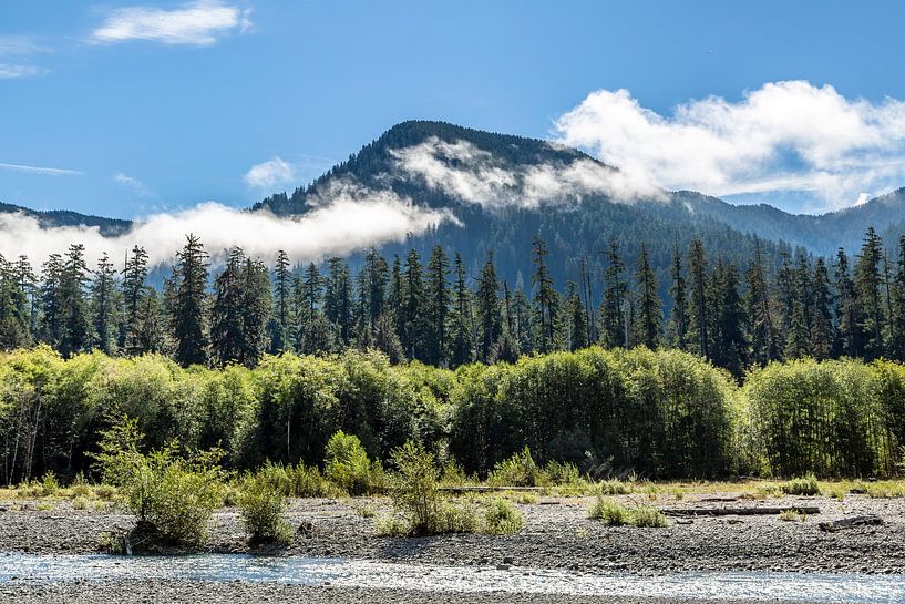 Malerischer Olympic Nationalpark von Melanie Viola