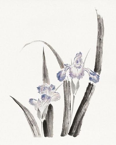 Art japonais. Fleur d'iris japonaise par Katsushika Hokusai. Peinture ancienne sur Dina Dankers