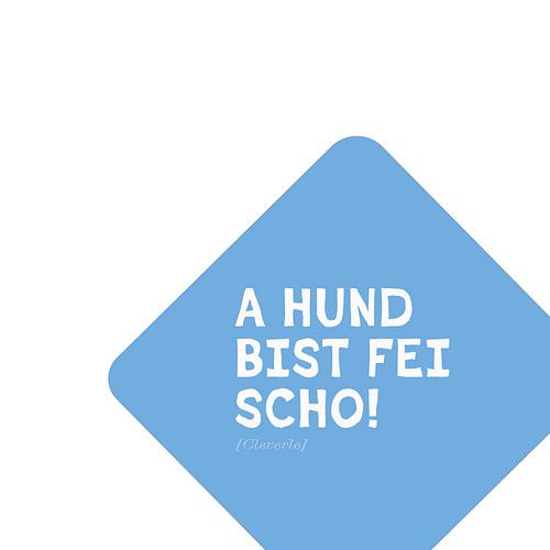 Beiers herkenningsformaat 3