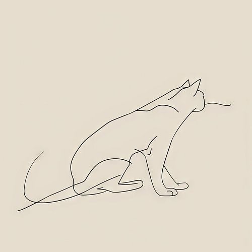 Kattenlijn