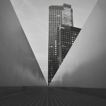Maastoren: Een Pictogram van Rotterdam van Marius Hutanu