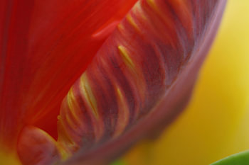 Couleurs cachées