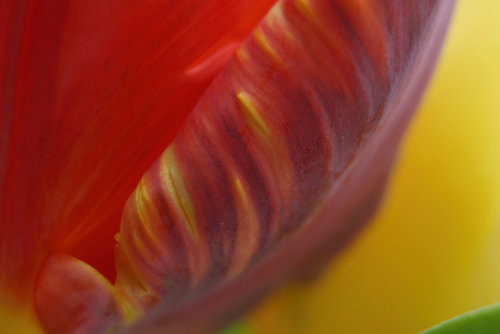 Hidden colours