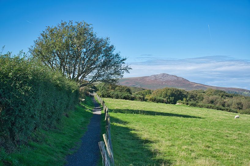 Walking towards the Pentre Ifan Burial Chamber by Frank's Awesome Travels
