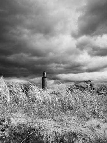 Leuchtturm Darßer Ort schwarz-weiß