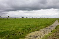 Hollands polder landschap.