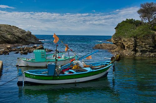 Bateaux sur l'île du Gaou dans le sud de la France