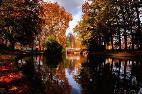 Le long de la circonférence