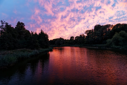 Sonnenuntergang im Biesbosch