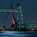 Die Hef- und Erasmusbrücke im Licht des Vollmonds von Mark De Rooij Miniaturansicht