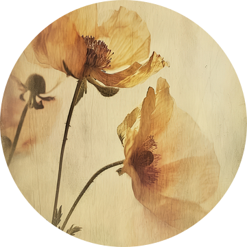 Bloemen in wabi-sabi stijl van Carla Van Iersel