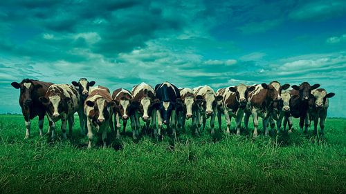 Das milchige Durcheinander