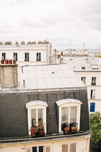 Roofs in Montmartre Paris