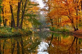 Herbst von Violetta Honkisz