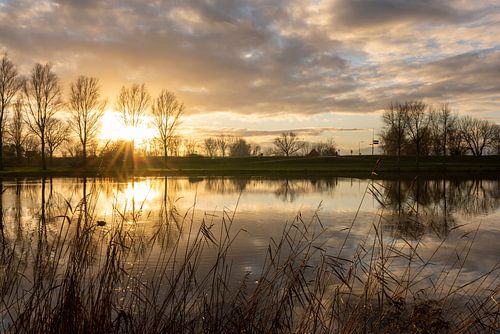 Sunset on the foreshore