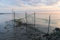 Ein Abend auf der WAD