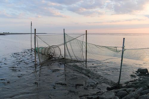 Une soirée sur la WAD