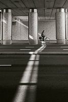 Touched by sunbeam