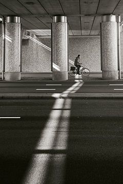 Touched by sunbeam