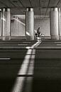 Touched by sunbeam by André Bouterse thumbnail