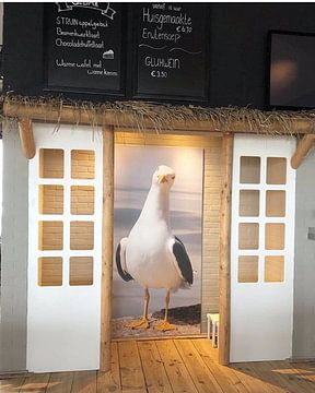 Customer photo: seagull