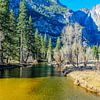 Yosemite River und Blick auf Yosemite Falls von Barbara Riedel