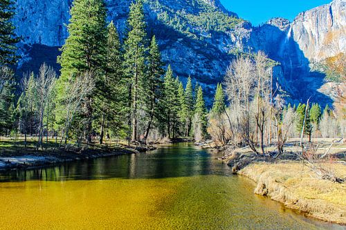 Yosemite River und Blick auf Yosemite Falls von Barbara Riedel