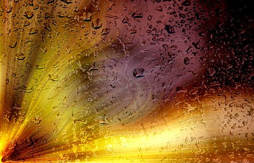 Coloribus infectum tergo glas