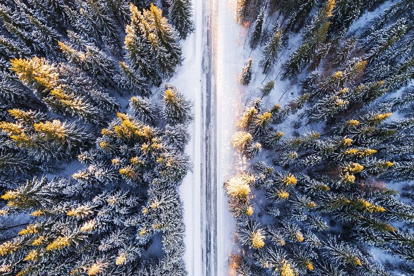 Früher Wintermorgen von Walljar