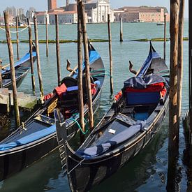 Venetië, aan Canal Grand met Basiliek Van Santa Maria della Salute van Getty Betlem