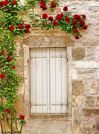 Double-Blind (Window with Roses) by Caroline Lichthart