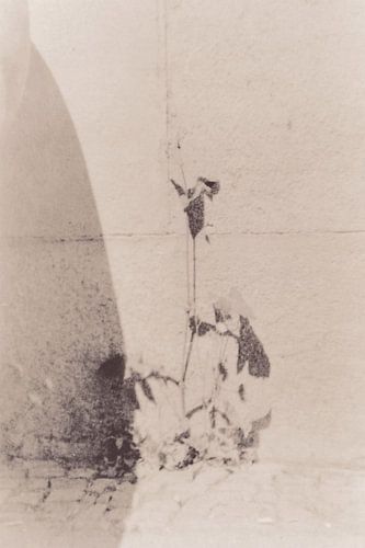 Hipsterhausen _ 17