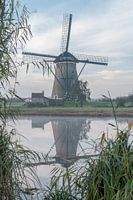 Mill Kinderdijk in autumn