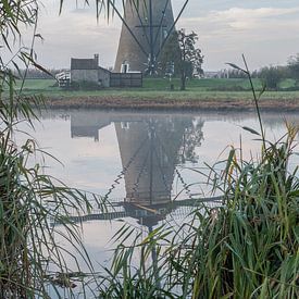 Mill Kinderdijk in autumn by Mark den Boer