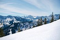 Winteruitzicht op de Hochvogel en de Allgäuer Alpen van Leo Schindzielorz thumbnail