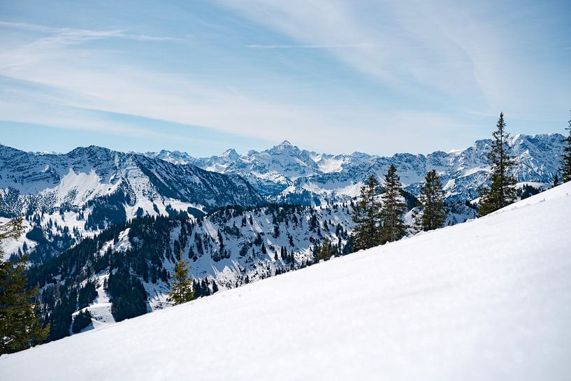 Winteruitzicht op de Hochvogel en de Allgäuer Alpen van Leo Schindzielorz
