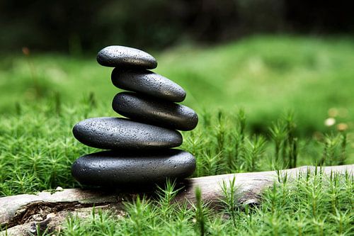 gestapelde stenen van basalt in het bos omgeven door mos