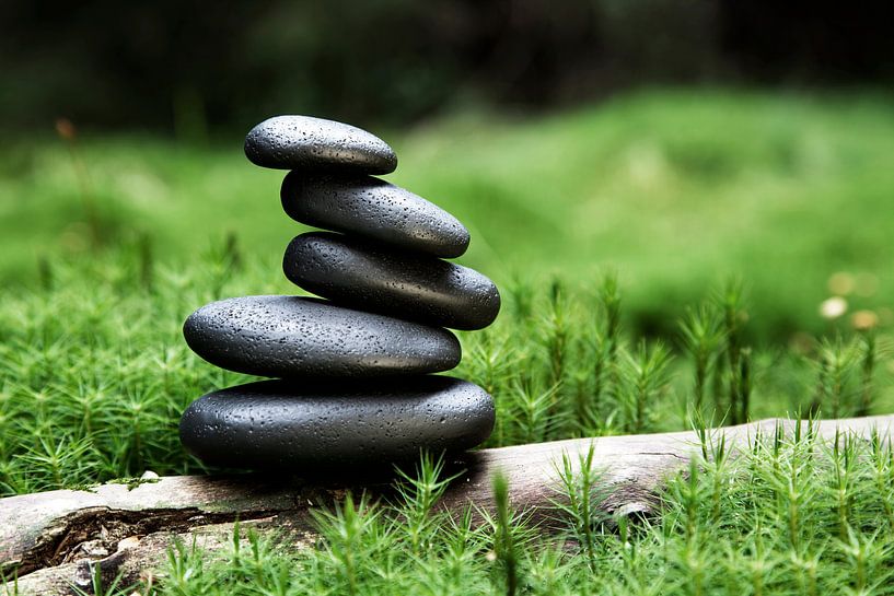 stacked stones of basalt in the forest surrounded by moss by Jürgen Wiesler