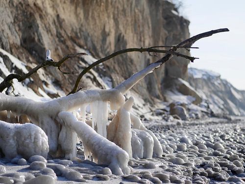 Gefrorener Strand – Steilküste Hohes Ufer, Ahrenshoop, Darß