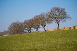 In a row by Roger Hagelstein