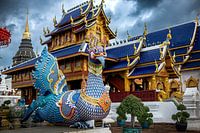 La mythique Hintha (Thaïlande)