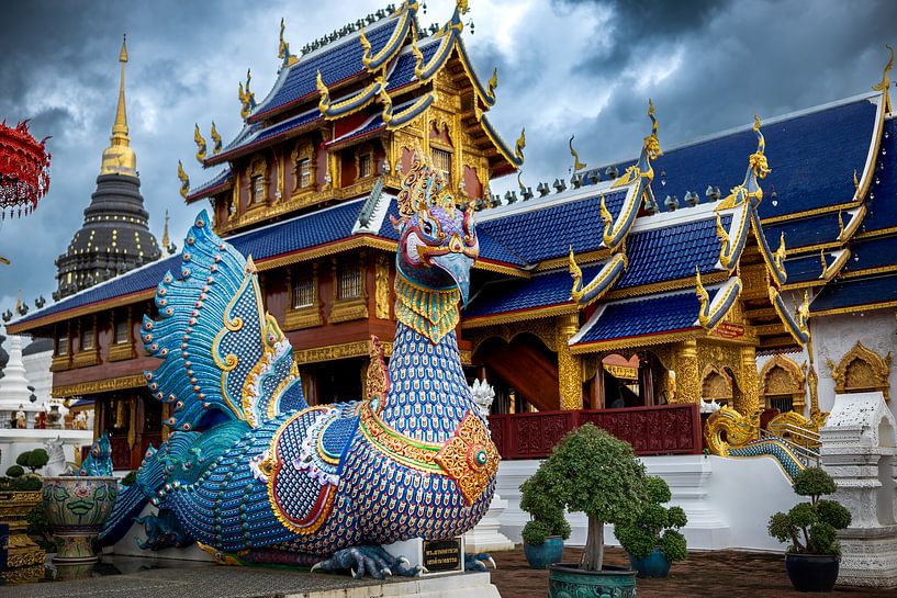 Der Mythos Hintha (Thailand) von Franklin Driessen