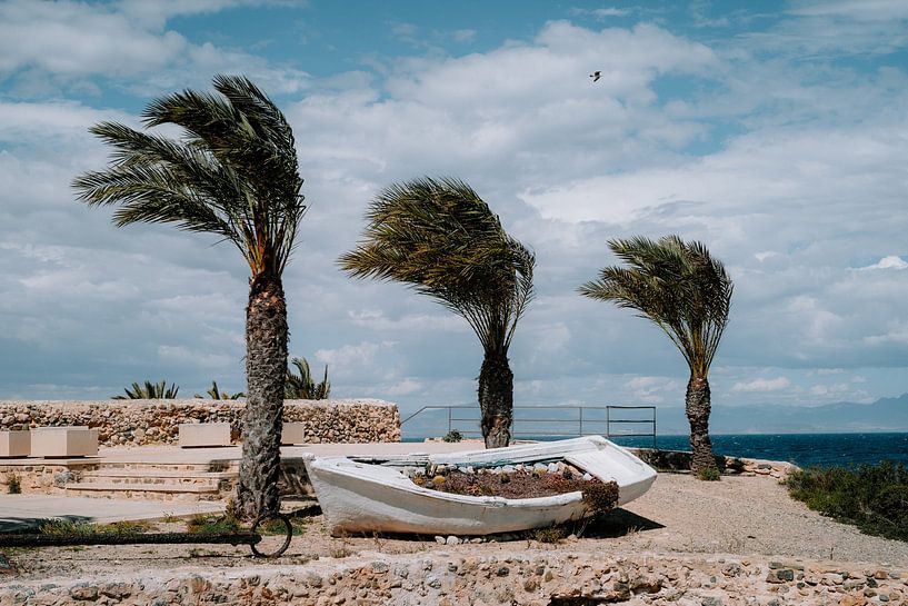 Isla de Tabarca van Pepijn Assendorp