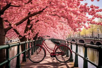 Die Niederlande, mit Blumen und Fahrrädern auf der Brücke im Frühling von Animaflora PicsStock