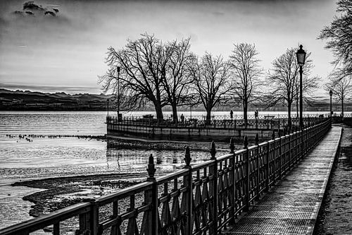 Friedrichshafen Schlosshorn Bodensee in schwarz-weiss von Dieter Walther