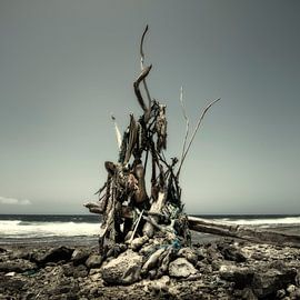 Artwork of wreckage by Keesnan Dogger Fotografie