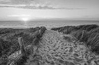 Strand, wind en zee in zwart wit